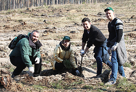 Forest Week in Gomel Oblast 