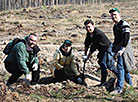 Forest Week in Gomel Oblast 