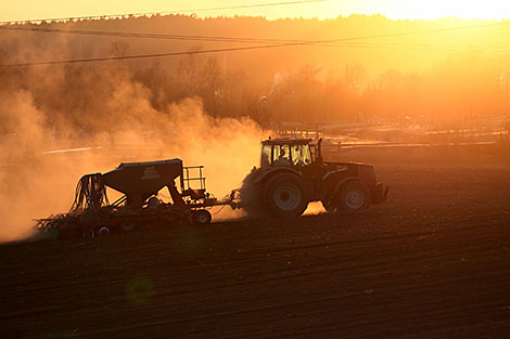 Spring sowing campaign in Grodno Oblast
