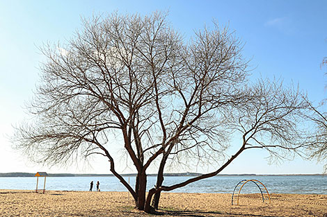 Отдых на Заславском водохранилище 