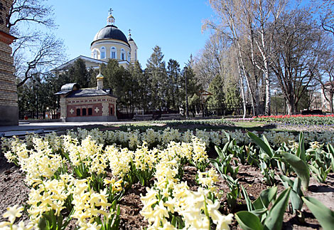 Spring in Gomel park