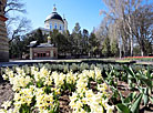 Spring in Gomel park