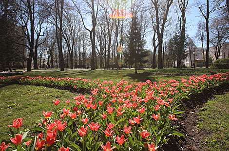 Spring in Gomel park