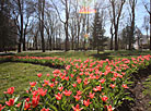 Spring in Gomel park