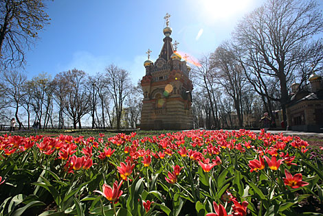 Spring in Gomel park