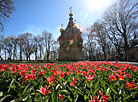 Spring in Gomel park