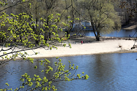 Spring in Gomel park