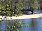 Spring in Gomel park