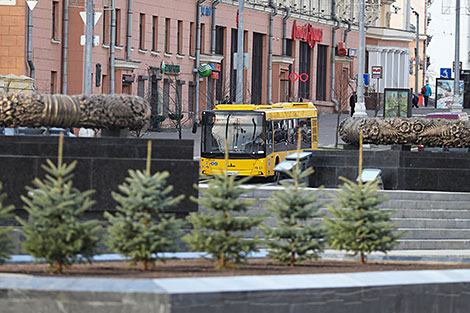 Decorative spruces have been planted around the Victory Monument