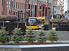 Decorative spruces have been planted around the Victory Monument