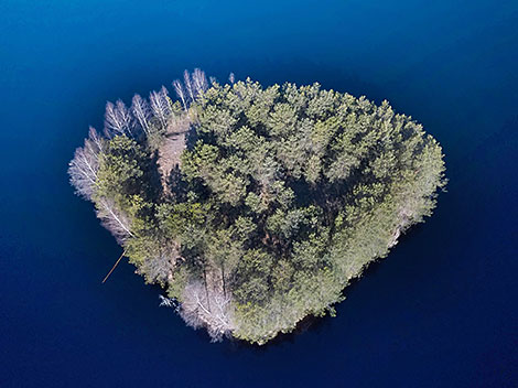 Belarus’ Natural Wealth: Naliboki Landscape Reserve