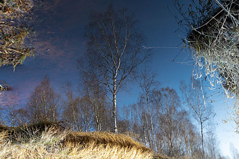 Naliboki Landscape Reserve 