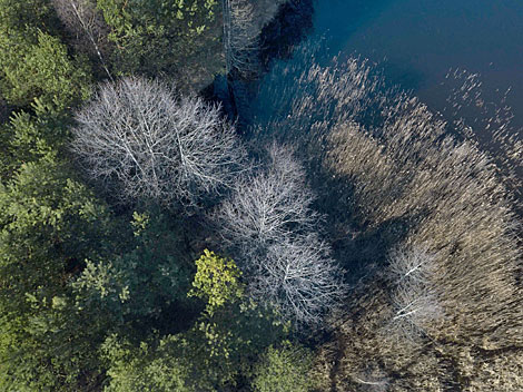 Syabrynskoye Water Reservoir from up high