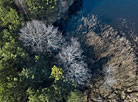 Syabrynskoye Water Reservoir from up high