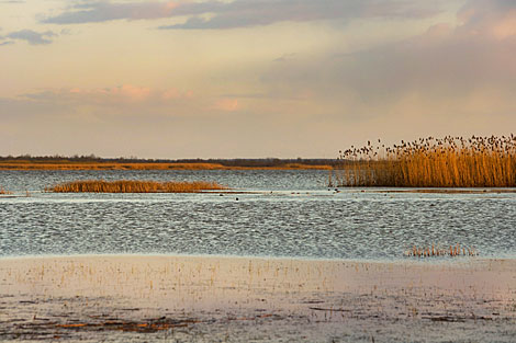 Spring evening on Sporovskoye Lake