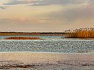 Spring evening on Sporovskoye Lake