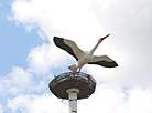 Commemorative sign, dedicated to the 20th anniversary of the Chernobyl disaster