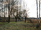 Burial place of the village of Malinovka not far from Kostyukovichi
