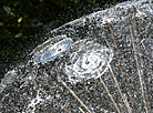 Dandelion Fountain in Victory Square in Gomel