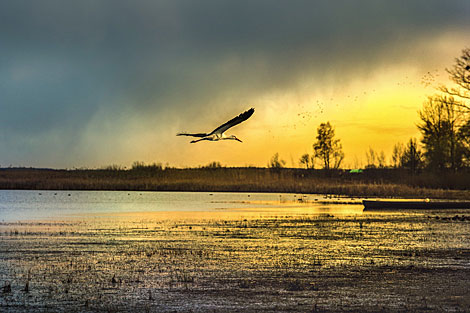 Evening on Sporovskoye Lake