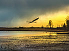 Evening on Sporovskoye Lake