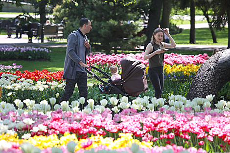 Кветкавы рай: 35 тысяч цюльпанаў высаджана ў Гомельскім парку