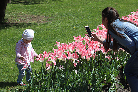 Tulip season opens in Gomel park 