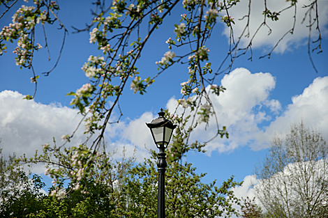 Spring in Loshitsa Park