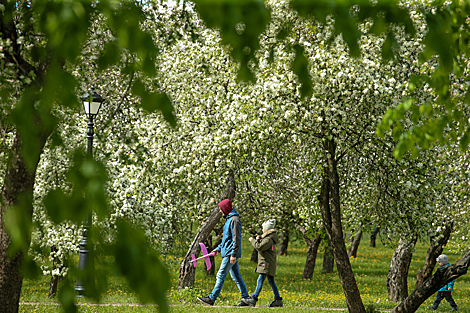 Spring in Loshitsa Park