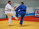 Judo competitions in Minsk