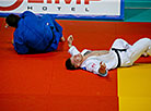 Judo competitions in Minsk