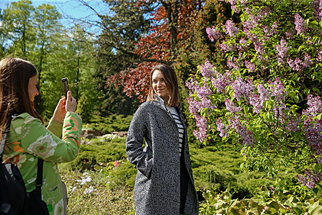 Week of Lilac in Minsk Botanical Garden