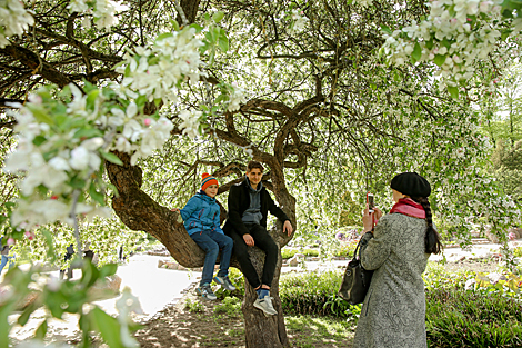 Week of Lilac in Minsk Botanical Garden