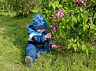 Week of Lilac in Minsk Botanical Garden