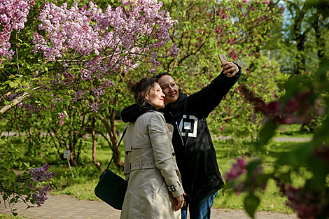 Week of Lilac in Minsk Botanical Garden