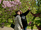 Week of Lilac in Minsk Botanical Garden