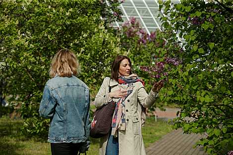 Week of Lilac in Minsk Botanical Garden