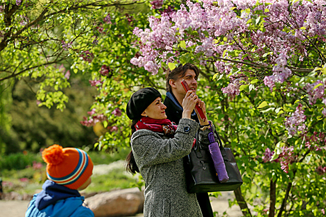 Week of Lilac in Minsk Botanical Garden