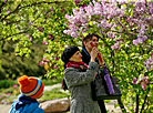 Week of Lilac in Minsk Botanical Garden