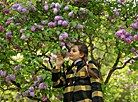 Week of Lilac in Minsk Botanical Garden