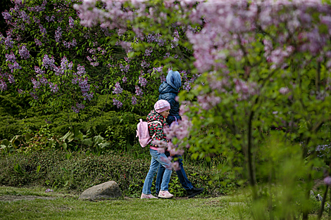 Week of Lilac in Minsk Botanical Garden