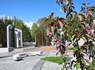 New war memorial in Svetlogorsk District