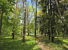 Yanka Kupala house museum in Levki