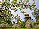 Apple garden at Ilya Repin Zdravnevo Museum Estate