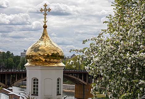 Цветение яблонь в Витебске