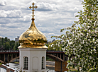 Apple trees in bloom in Vitebsk