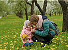 Цветущий май в Лошицком парке