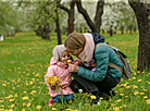 Spring blossoms in Loshitsa Park