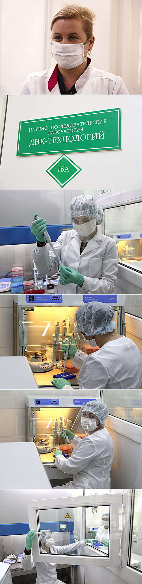 DNA technology lab of Grodno Agrarian University starts performing COVID-19 tests
