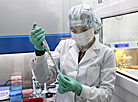 Лаборатория ДНК-технологий Гродненского аграрного университета начала выполнять тесты на COVID-19